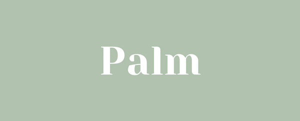 Palm Swim